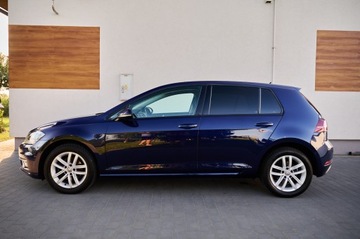 Volkswagen Golf VII Hatchback 3d Facelifting 1.6 TDI-CR DPF BMT 115KM 2019 VW GOLF VII 1.6 diesel 115KM Navi DVD led Alu16 zarejestrowany w Polsce, zdjęcie 9