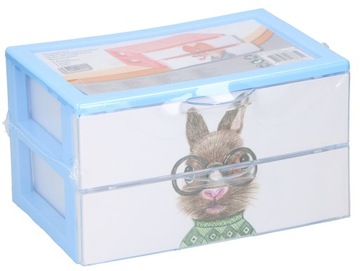 POJEMNIK Z SZUFLADKAMI ORGANIZER 2 SZUFLADKI 6651