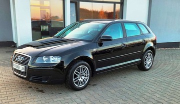 Audi A3 8P Hatchback 3d 1.6 102KM 2008 Audi a3 1,6 MPI 102 km 1.6 Benzyna 102KM, zdjęcie 18