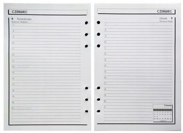 Вставка для орг.А5/гладкая белая