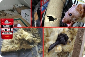 Подвеска RED KUNA BALL с ароматом куницы для автомобиля и дома