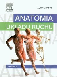Anatomia układu ruchu - podręcznik