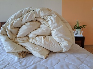 Пуховое одеяло 200х220см.