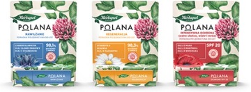Губная помада Polana Интенсивная защита 4,7 г 08/2024