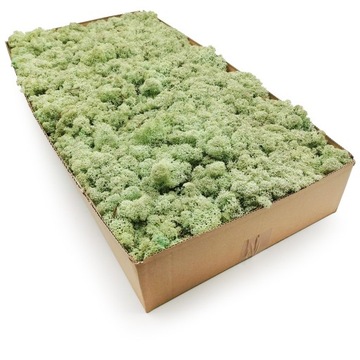 500g MECH CHROBOTEK reniferowy Miętowy NORWESKI