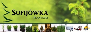 Торфомешалка со шнековым питателем