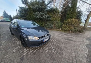 Volkswagen Golf VII Hatchback 3d 1.6 TDI-CR DPF 105KM 2013 Volkswagen Golf Volkswagen Golf 1.6 TDI BlueMotion Technology DSG Comfortl, zdjęcie 1