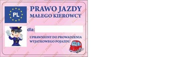 БОЛЬШАЯ ПОЕЗДКА, ХОДОК, ПУШ, 3в1, АВТОМОБИЛЬ, АВТОМОБИЛЬ С ПУШЕМ, + ВОДИТЕЛЬСКИЕ ПРАВА