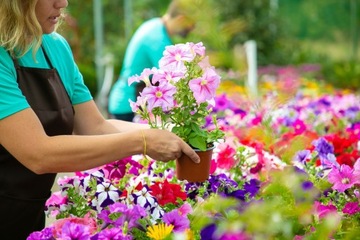 Базальтовая мука с удобрительной смесью ДОЛОМИТ 20% 10