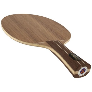 Табличка с надписями STIGA INTENSITY CARBON. Настольный теннис