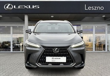 Lexus NX II SUV Facelifting 2.5 350h 243KM 2025 Lexus NX 350h Prestige Design Tazuna Premium VAT 23 Lexus Leszno, zdjęcie 6
