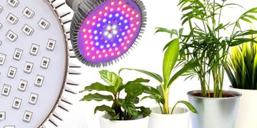 ЛАМПОЧКА ДЛЯ РОСТА РАСТЕНИЙ E27 75LED 30W