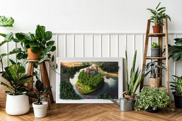 Картина мхом Замок на холме 60х40