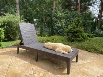Jaipur Sun Lounger коричневый регулируемый садовый шезлонг