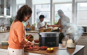 МОЩНАЯ СТАНЦИЯ ECOFLOW DELTA 2 MAX 2048WH