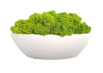 Вазон-лодочка со мхом, Бабушкин день