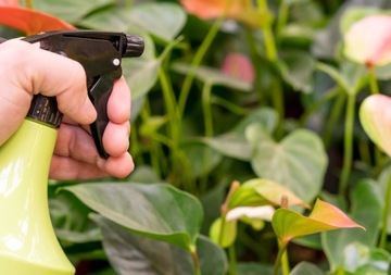 NATURALNY PREPARAT Z POKRZYWY NO PEST ŚRODEK PŁYN NA MSZYCE I OWADY ROŚLIN