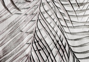 ФОТОобои ПАЛЬМОВЫЕ ЛИСТЬЯ БЕТОН 400x280 b-C-0783-a-a