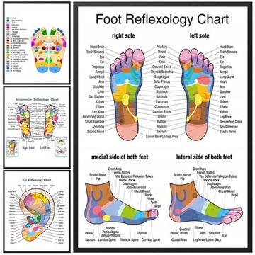 Диаграмма рефлексологии стоп, плакаты с ушами, руками и лицом