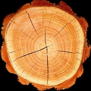 ДУХИ ЙОДЕЙМА ЭЛЕТ 100 МЛ