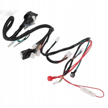 Главный жгут проводов мотоцикла
