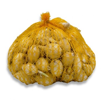 Cebula Dymka Biała 0,25 Kg Plenna Soczysta