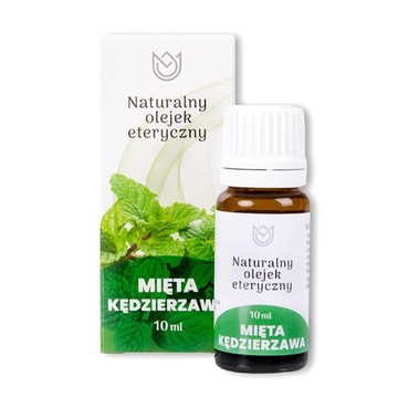 NATURALNY 100% OLEJEK ETERYCZNY MIĘTA KĘDZIERZAWA