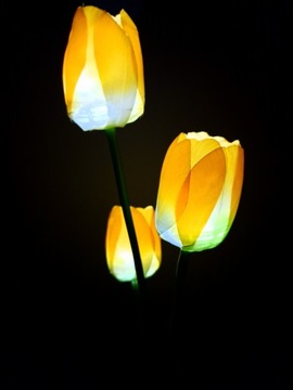 Подключаемая солнечная лампа TULIPS LED цветочная лампа SOLAR TULIP FLOWERS