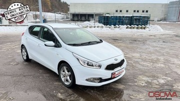 Kia Ceed II pro_cee´d 1.6 GDI 135KM 2014 Kia Ceed 1.6 Benz polski salon Navi DVD 1wl se...