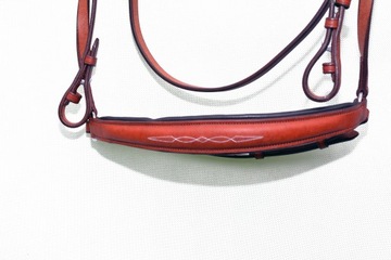 Профилированная анатомическая команда полна