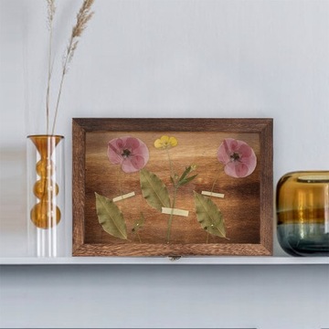 Витрина для старинных монет