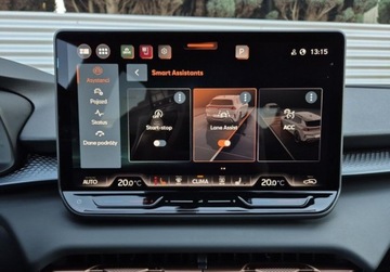 Cupra Terramar SUV 1.5 eTSI 150KM 2024 Cupra Terramar 1.5eTSI mHEV DSG 150KM Gwarancja LED Kamera360 ACC Kessy Na, zdjęcie 24