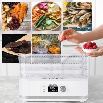 Пищевой дегидратор DRYMaster 450 Вт для грибов, фруктов, овощей, трав, крепких продуктов