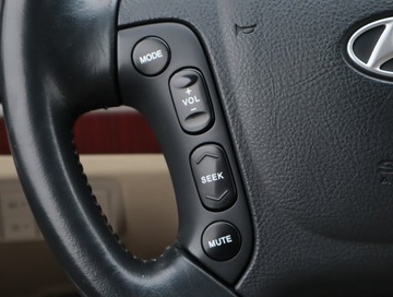 Hyundai Santa Fe II SUV 2.2 CRDi 155KM 2008 Hyundai Santa Fe 2.2 CRDi, 4X4, Navi, Klima, zdjęcie 15