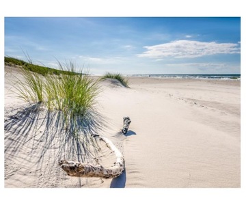 Fototapeta 254x184cm Mrzeżyno, plaża