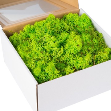 MECH chrobotek naturalny ozdobny TRAWIASTY reniferowy do stroików 200g mech