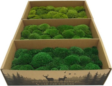 Mech Poduszkowy karton 200g NETTO z Turcji