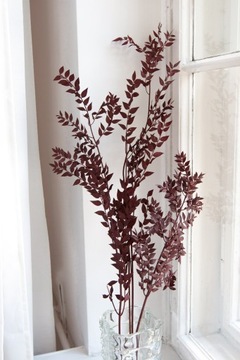 РУСКУС бордовый РУСКУС РУСКУС для засушенной вазы