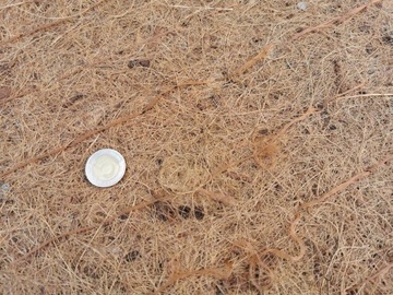 Mata kokosowa biomata ekomata na skarpę 2m szer.