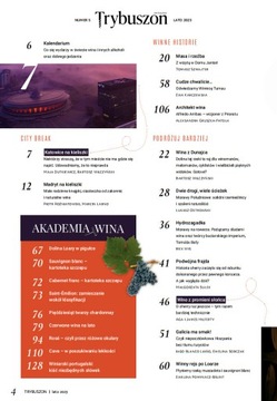 ГОДОВАЯ подписка на ежеквартальный журнал TRYBUSZON