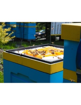 Апиканд с ВИТАМИНАМИ 5х1кг торт весенний АПИКАНД с ВИТАМИНАМИ