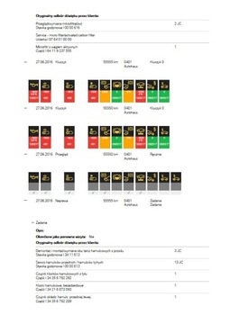 BMW VIN История ремонта Сервис Дилерский пробег PDF