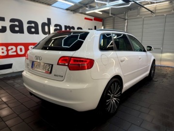 Audi A3 8P Hatchback 3d 2.0 TDI CR 140KM 2010 Audi A3 Sportback ledy bi xenon 2.0 tdi 140 konny manualna skrzynia bezwyp, zdjęcie 6