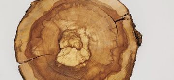 Ломтик яблока 36x37см, дерево для стола из смолы