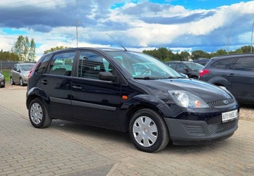Ford Fiesta VI 2006 Ford Fiesta 1,3 Ben Klima 1.3 Benzyna 60KM, zdjęcie 15