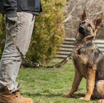 ВОЕННО-ТАТИЧЕСКИЙ ОШЕЙНИК ДЛЯ ОВЧАРКИ, XL