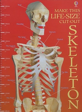 Make this life-size cut-out skeleton
