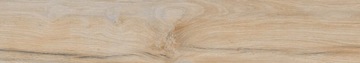 PŁYTKI DREWNOPODOBNE GRES NEST FOREST 20X120