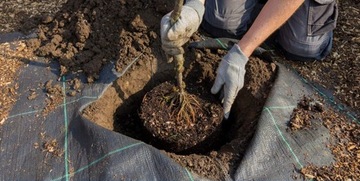 САМАЯ ПРОЧНАЯ ПРОТИВОРОННАЯ АГРО ТКАНЬ 90г 1,1х50м UV3% AGRO НЕТКАНАЯ