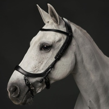 PRESTEQ, Ogłowie anatomiczne, FaySport BLACK COB czarny